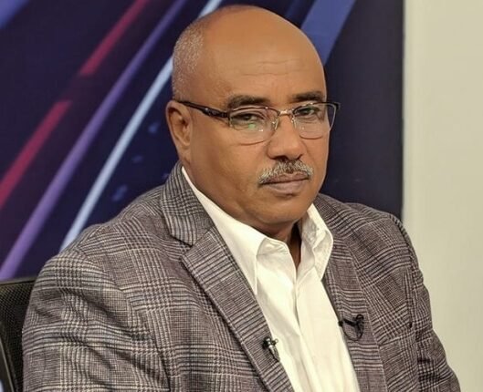 عبد المنعم أبو إدريس نقيب الصحفيين السودانيين
